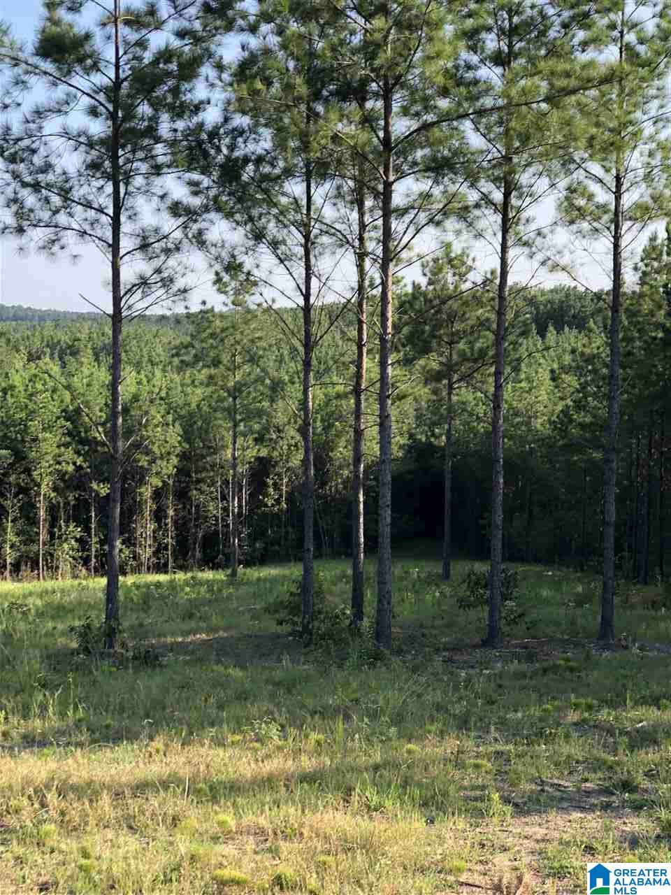 1 Highway 69, Unit 1 Gallion, AL 36742 - Photo 8 of 8
