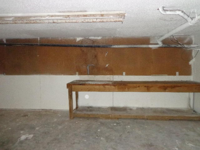 5614 Reeder Road Lyons, MI 48851 - Photo 23 of 24 263-393743 garage (2)