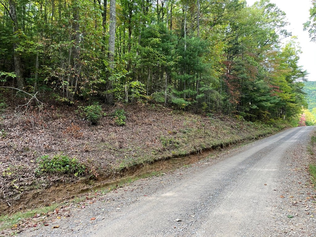 Tbd Burrell Mountain Road Murphy, NC 28906 - Photo 17 of 28