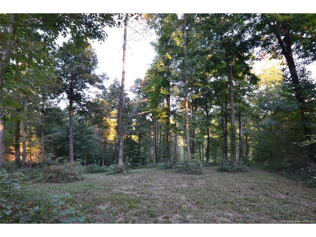 0 Alden (2.18 Acres) Road Elizabeth, IN 47117 - Photo 5 of 18 Gallery Image 5
