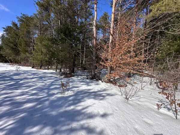 $65,000 | Honor Highway, Interlochen, MI 49643