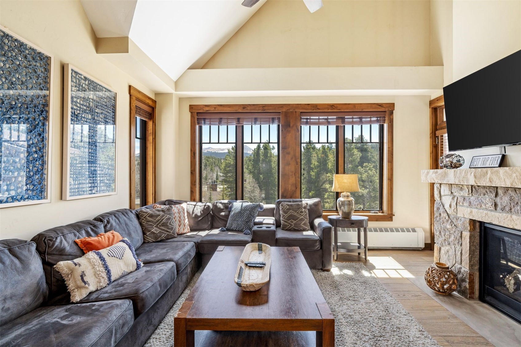 610 Columbine Road, Unit 6404 Breckenridge, CO 80424 - Photo 6 of 50