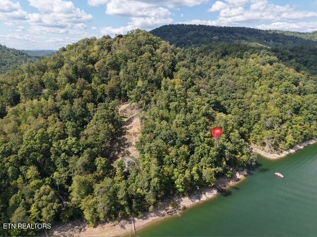 Lot 875 Clear Water Road New Tazewell, TN 37825 - Photo 2 of 8 1429A9E1-19BD-42EE-8AC2-F2A19FE15786(1)