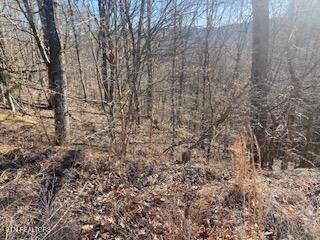 Lot 875 Clear Water Road New Tazewell, TN 37825 - Photo 3 of 8 Property 1