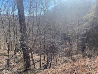 Lot 875 Clear Water Road New Tazewell, TN 37825 - Photo 6 of 8 Property 4