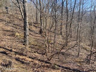 Lot 875 Clear Water Road New Tazewell, TN 37825 - Photo 7 of 8 Property 5