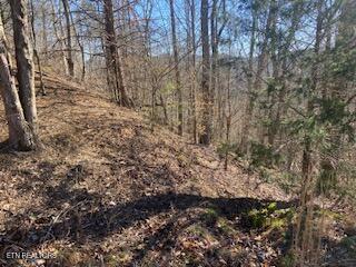 Lot 875 Clear Water Road New Tazewell, TN 37825 - Photo 8 of 8 Property 6