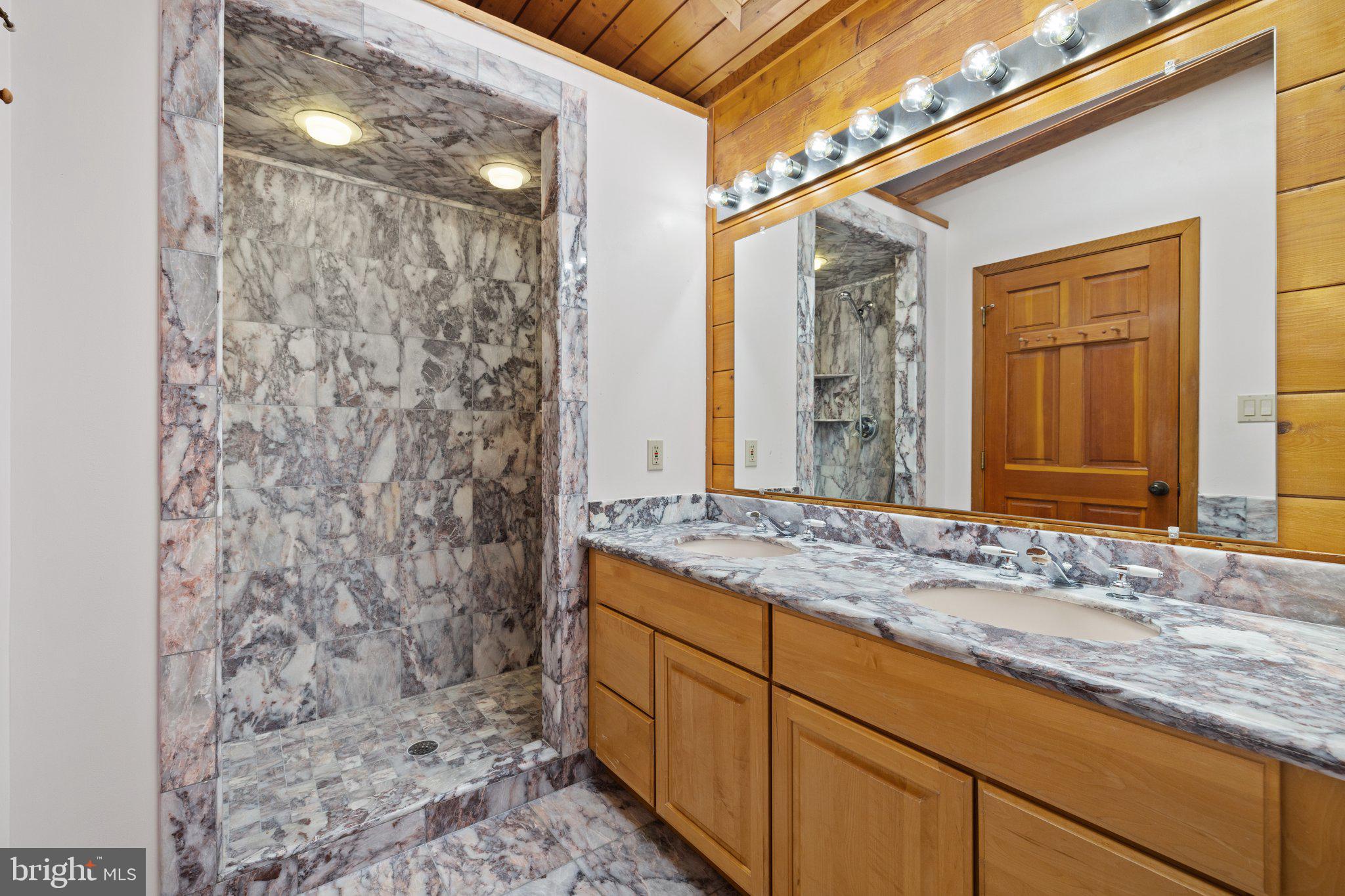 11121 Oakview Road Delaplane, VA 20144 - Photo 57 of 105 Primary Bathroom