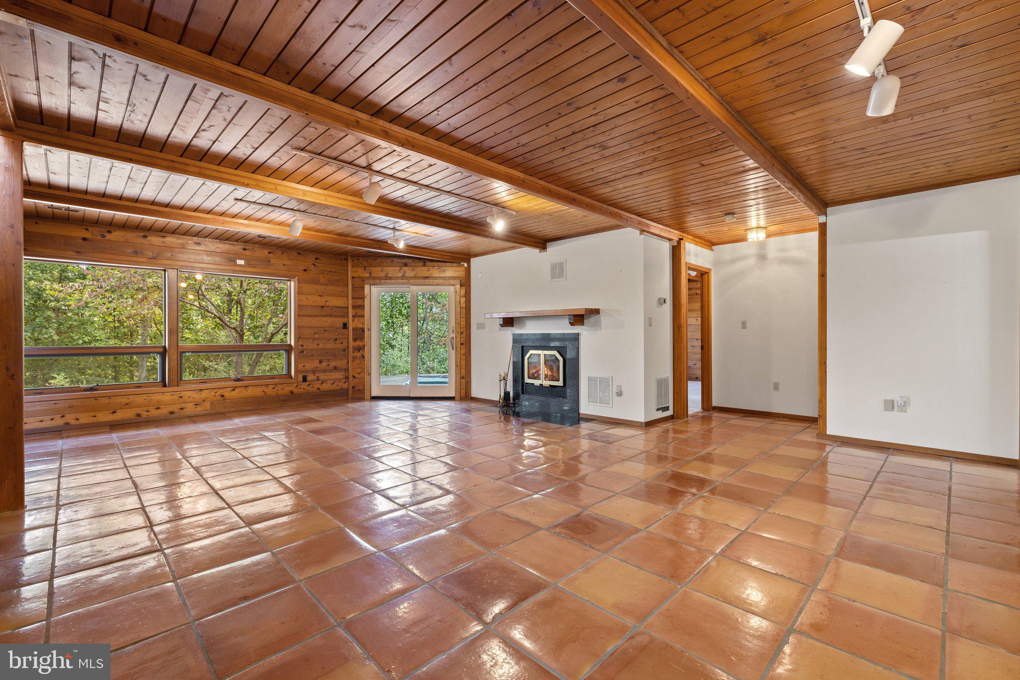 11121 Oakview Road Delaplane, VA 20144 - Photo 62 of 105 Basement Living Room with fireplace