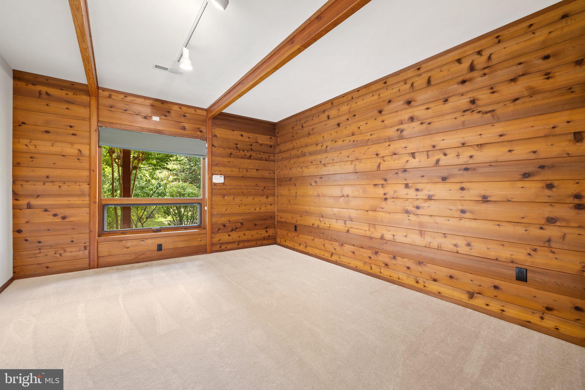 11121 Oakview Road Delaplane, VA 20144 - Photo 68 of 105 Basement Bedroom 2