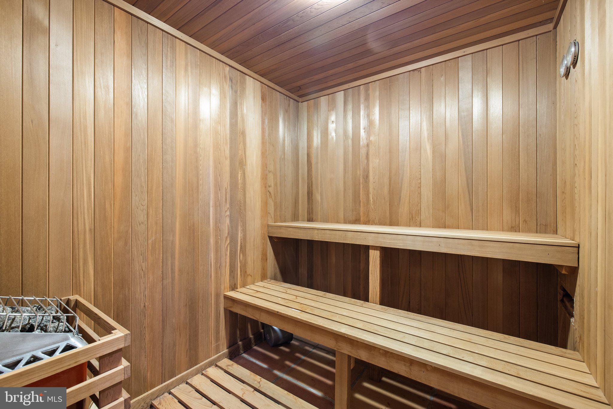 11121 Oakview Road Delaplane, VA 20144 - Photo 72 of 105 Sauna