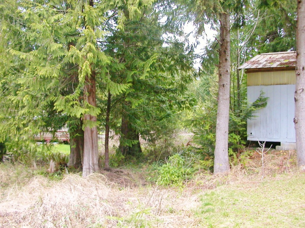 631 Rhododendron Lane Brinnon, WA 98320 - Photo 18 of 21 Gallery Image 18
