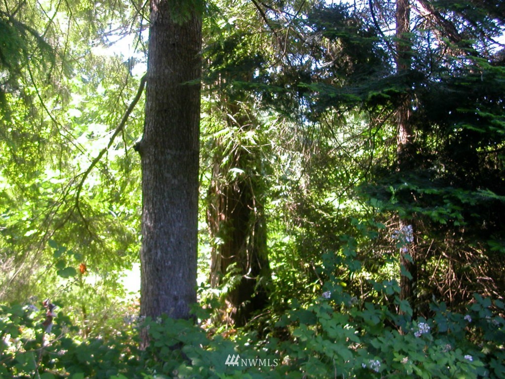 631 Rhododendron Lane Brinnon, WA 98320 - Photo 20 of 21 Gallery Image 20