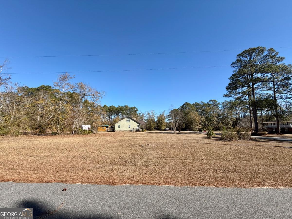 3231 Pear Avenue Patterson, GA 31557 - Photo 42 of 43 a view of ocean with a yard
