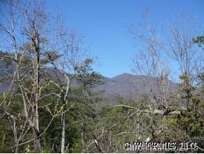 Lot 32 Ridgeway Rd Lake, Unit 32 Lake Lure, NC 28746 - Photo 2 of 3 a view of a yard