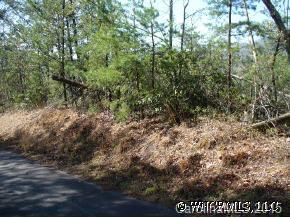 Lot 32 Ridgeway Rd Lake, Unit 32 Lake Lure, NC 28746 - Photo 3 of 3 a view of a yard