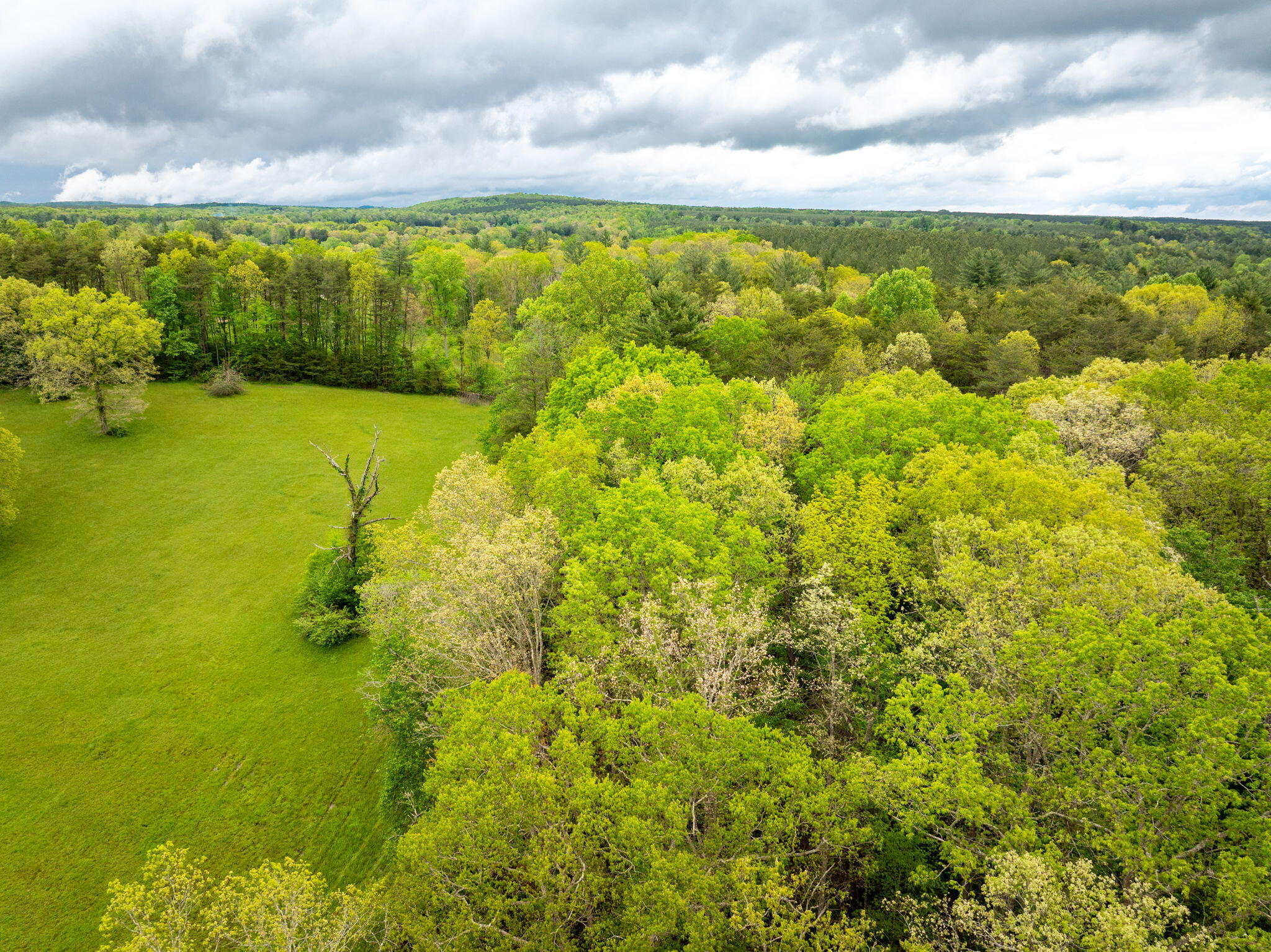 0 Blain Smith Road, Unit TRACT 10 Graysville, TN 37338 - Photo 6 of 8 27-web-or-mls-DJI_20250505100237_0084_D-