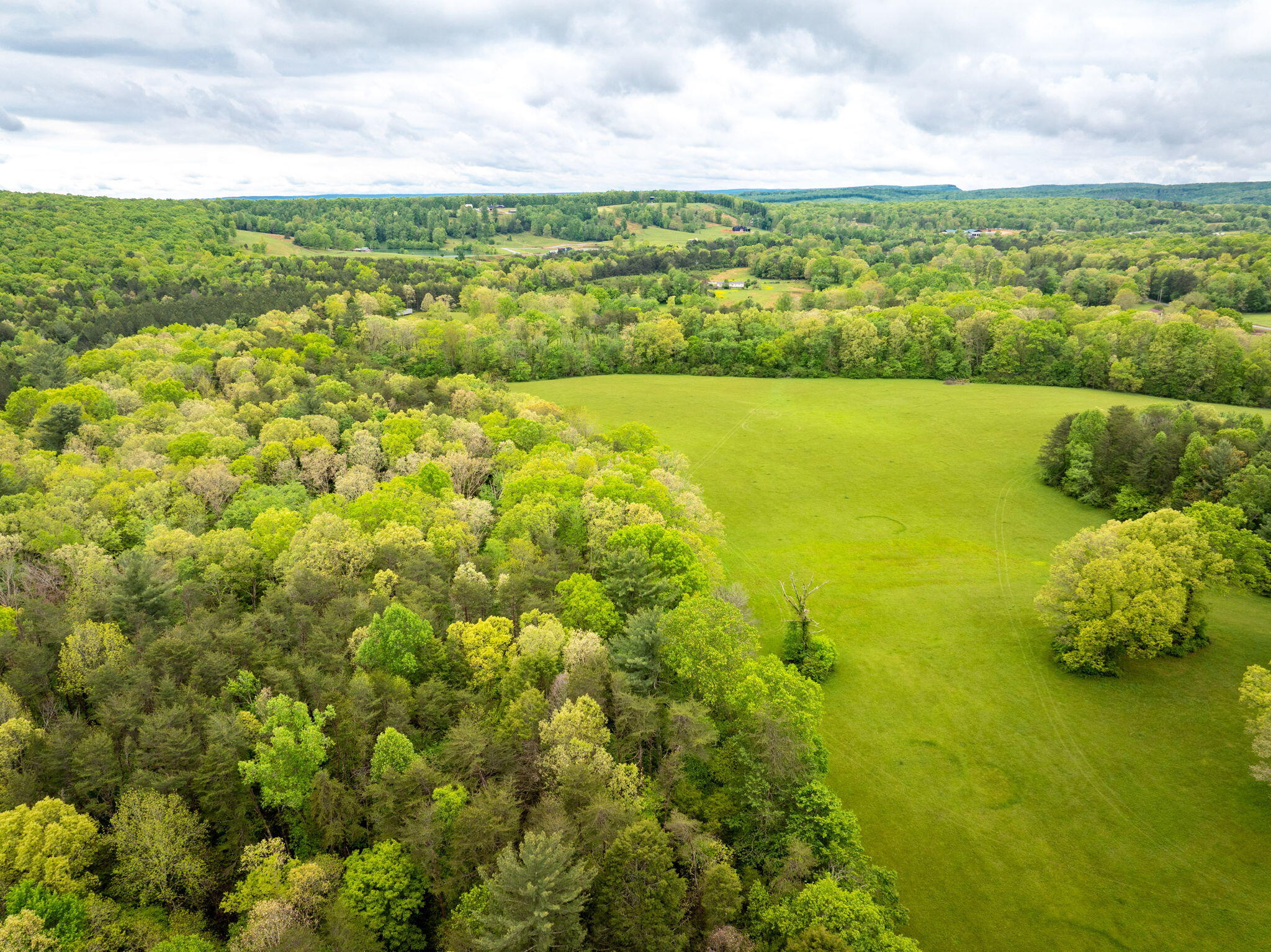 0 Blain Smith Road, Unit TRACT 10 Graysville, TN 37338 - Photo 7 of 8 28-web-or-mls-DJI_20250505100257_0085_D-