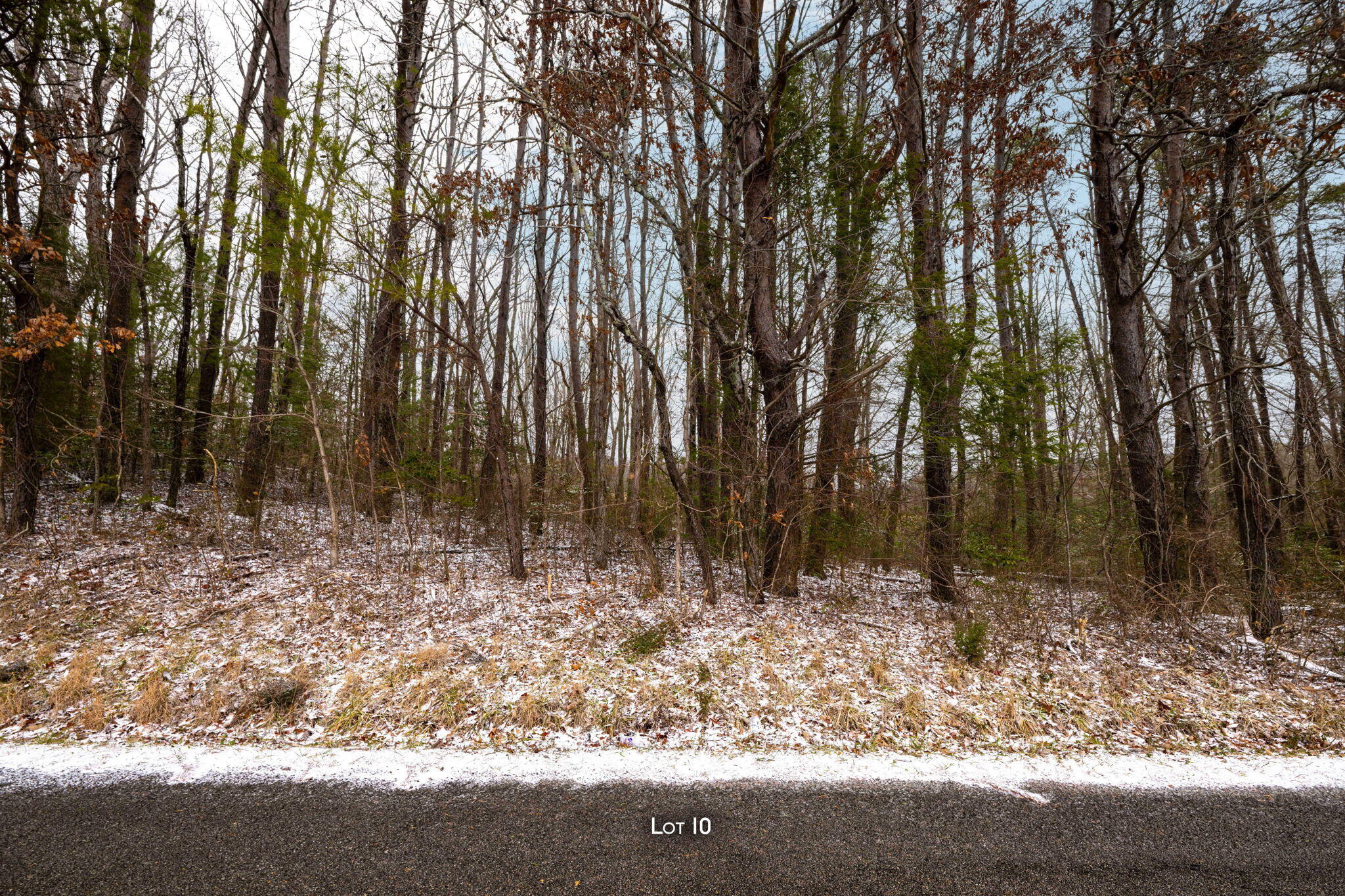 0 Blain Smith Road, Unit TRACT 10 Graysville, TN 37338 - Photo 8 of 8 43-web-or-mls-DSC_1159-110-9