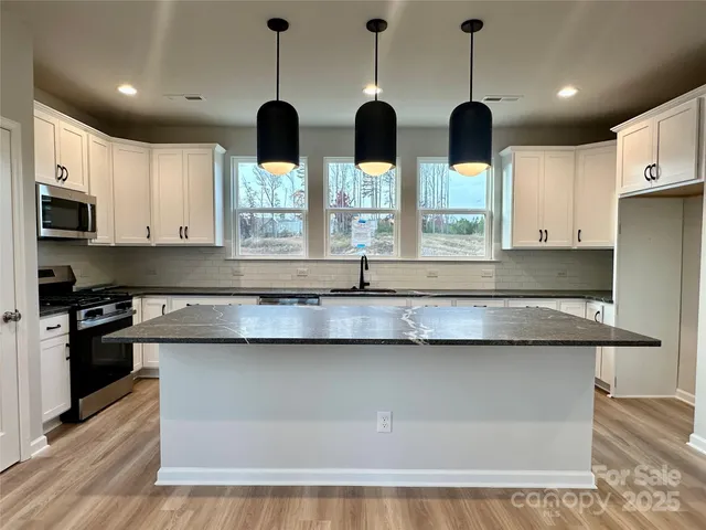 a kitchen with stainless steel appliances granite countertop a stove a sink and a microwave