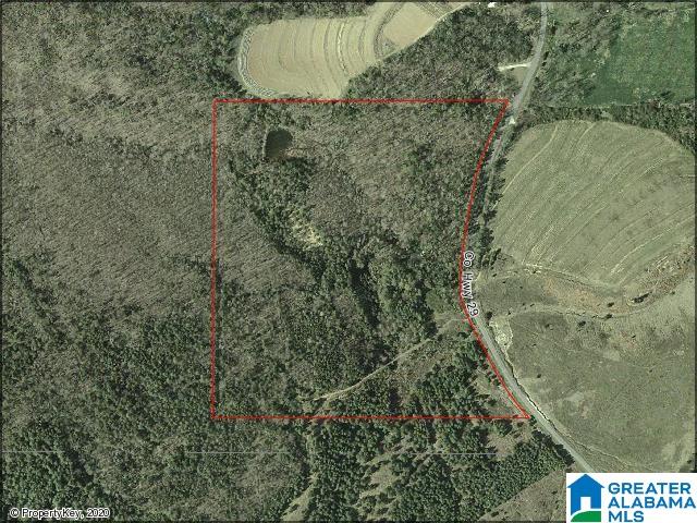 29 County Road Oneonta, AL 35121 - Photo 1 of 1