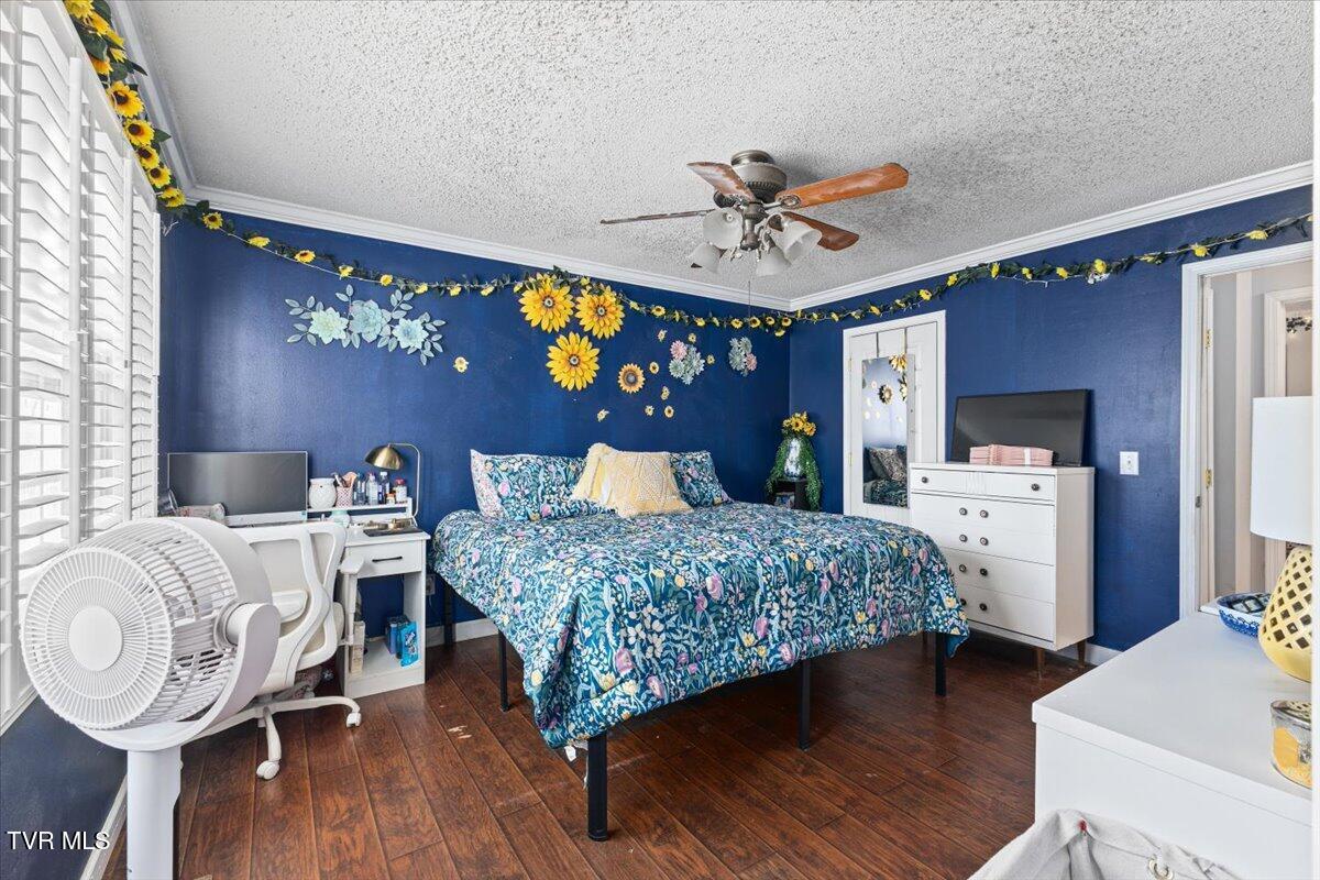 1069 Snowden Terrace Johnson City, TN 37601 - Photo 5 of 31 23-128A4494