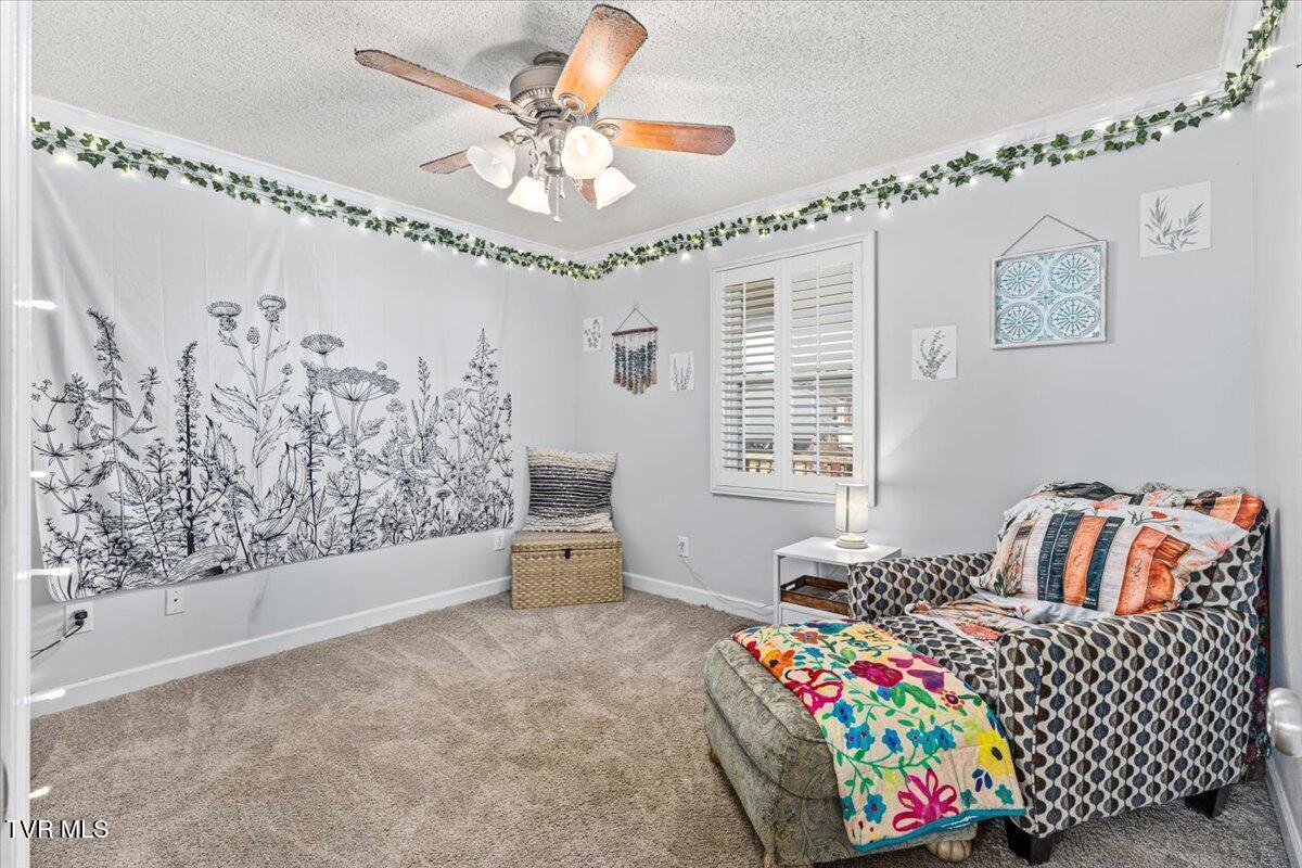 1069 Snowden Terrace Johnson City, TN 37601 - Photo 7 of 31 19-128A4482