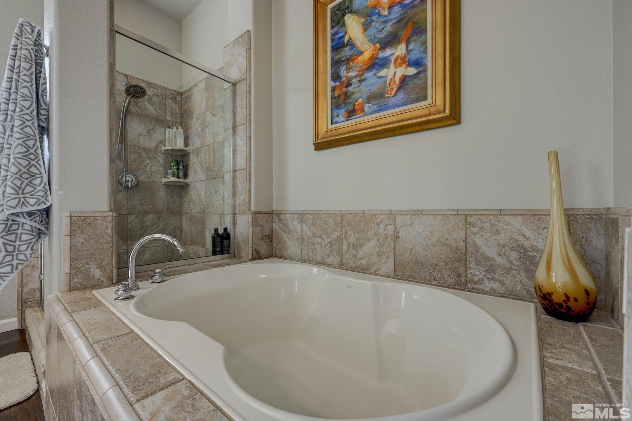 10585 Dillingham Drive Reno, NV 89521 - Photo 23 of 39 a bathroom with a tub and sink