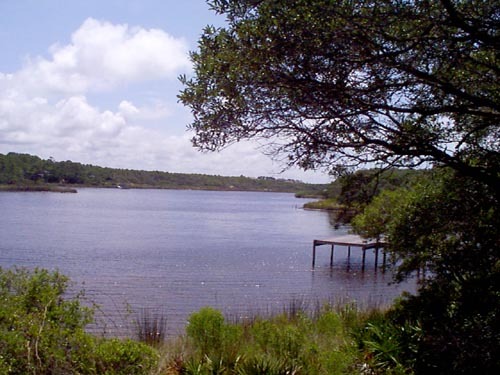 a view of a lake from a yard