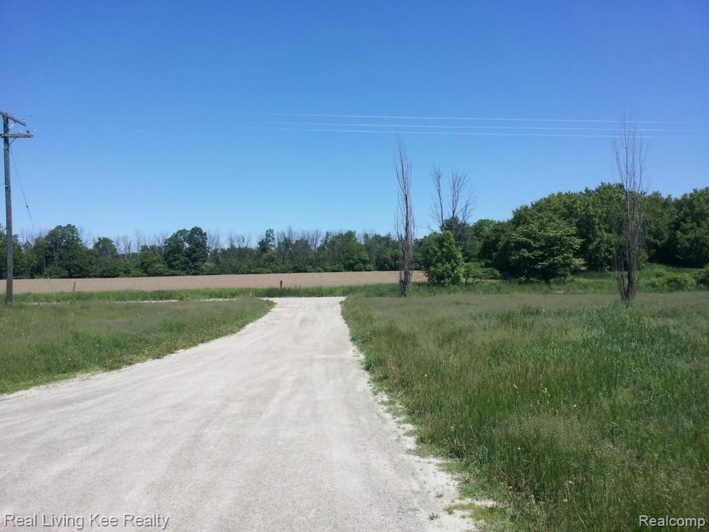 10073 Bryce Road Avoca, MI 48006 - Photo 9 of 9 2013-06-04 12.07
