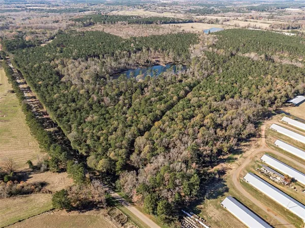 a view of a yard with wooden fence