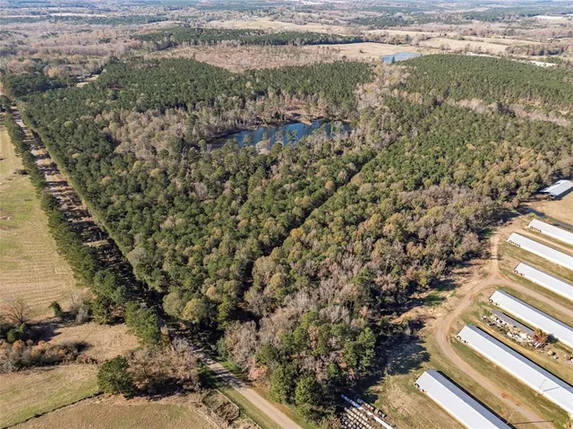 a view of a yard with wooden fence