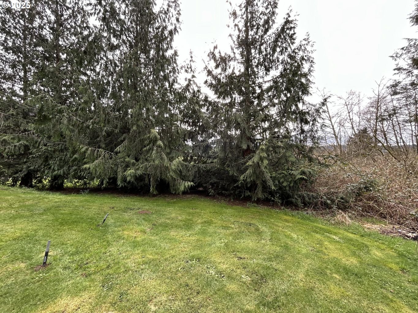 8250 Kilchis River Road Tillamook, OR 97141 - Photo 27 of 41 Gallery Image 27