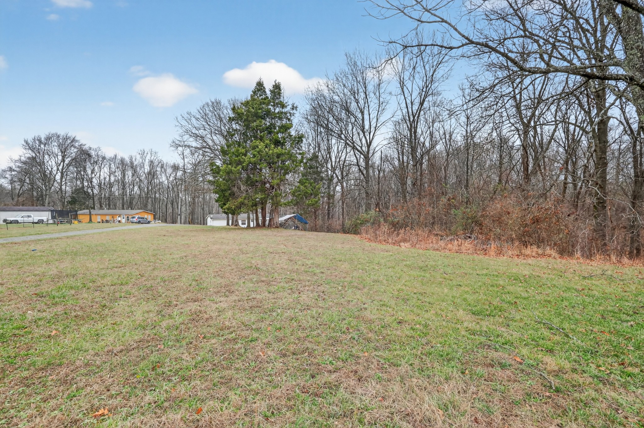 177 Mitchell Road Portland, TN 37148 - Photo 30 of 34 a view of outdoor space with trees all around