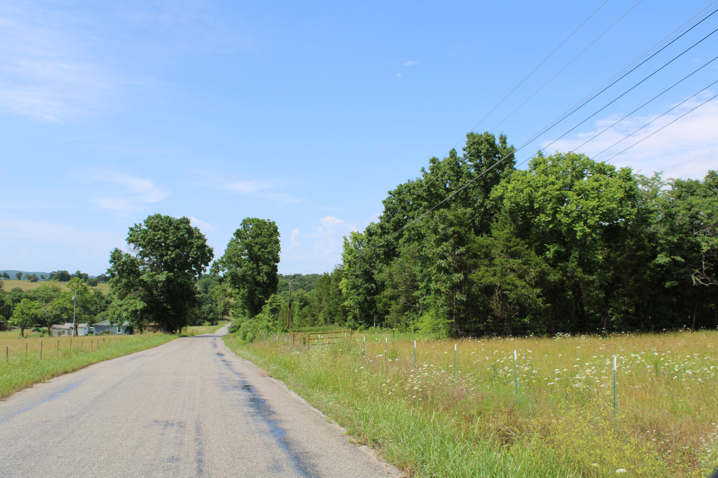 0 Dean Road Protem, MO 65733 - Photo 33 of 33 IMG_0609