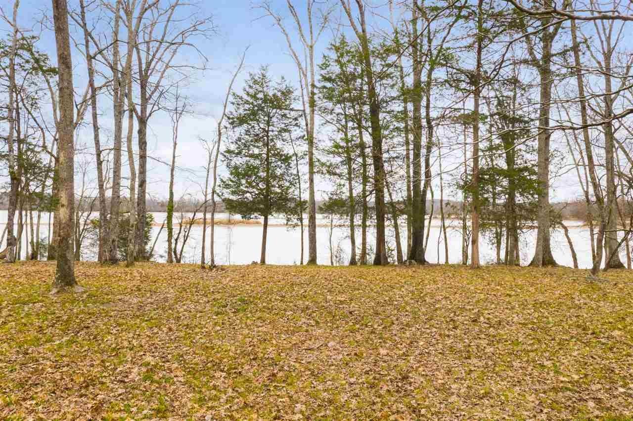 451 Warren Lane Decatur, TN 37322 - Photo 10 of 32 20201310-12