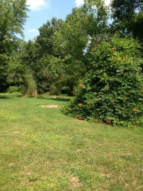 9 Brooklyn Road Brooklyn, MI 49230 - Photo 1 of 1 Gallery Image 1