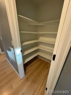 a view of walk in closet with empty racks