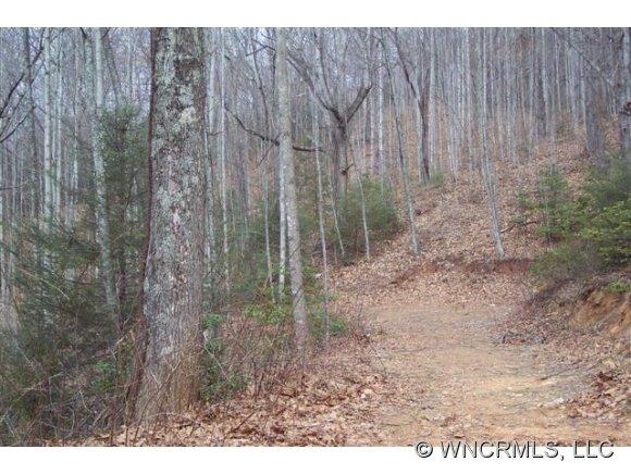 79 Mistletoe Ridge Waynesville, NC 28786 - Photo 1 of 7 Gallery Image 1