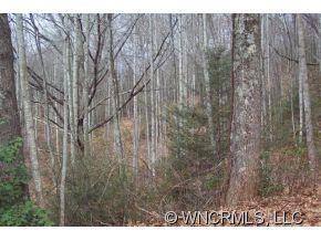79 Mistletoe Ridge Waynesville, NC 28786 - Photo 2 of 7 Gallery Image 2
