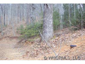 79 Mistletoe Ridge Waynesville, NC 28786 - Photo 3 of 7 Gallery Image 3