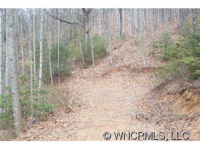 79 Mistletoe Ridge Waynesville, NC 28786 - Photo 4 of 7 Gallery Image 4