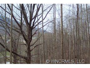 79 Mistletoe Ridge Waynesville, NC 28786 - Photo 7 of 7 Gallery Image 7