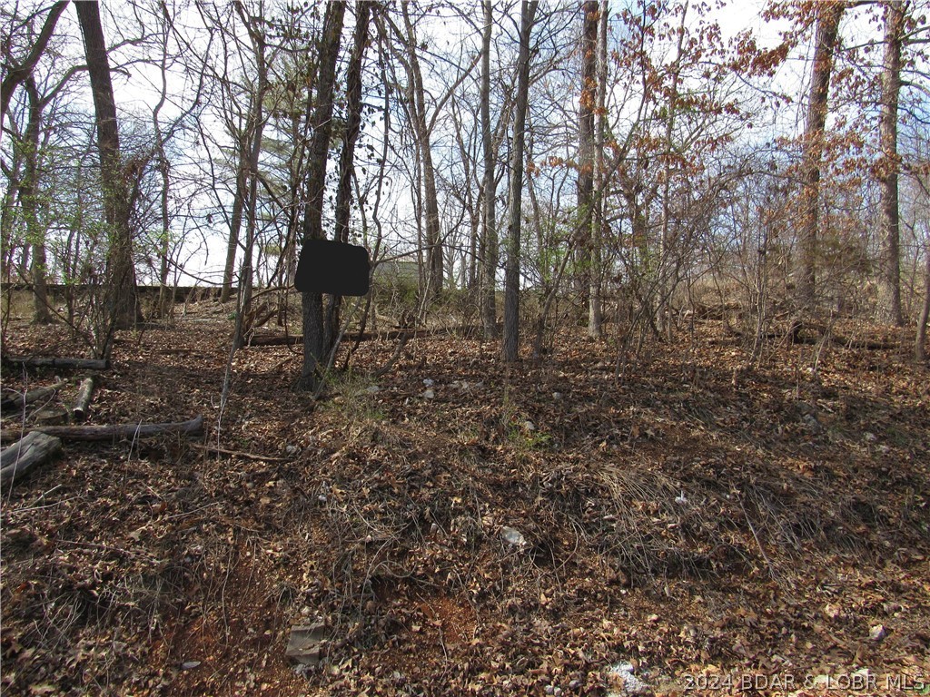 Lot 23 Shorty Road Barnett, MO 65011 - Photo 1 of 1 Moderate Terrain good mix of trees