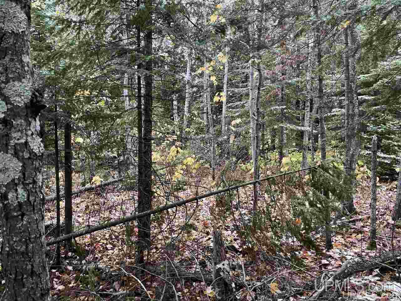 Parcel 8 R Liimatainen Road Lanse, MI 49946 - Photo 2 of 6 Gallery Image 2