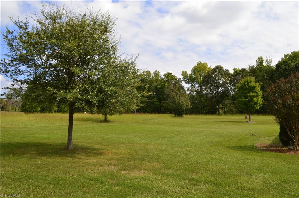 5895 Stanley Huff Road Summerfield, NC 27358 - Photo 7 of 30 Back Yard