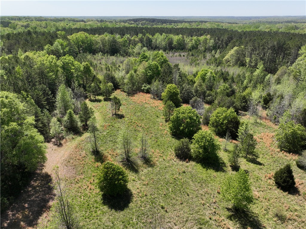 1 Potato House Road Gray Court, SC 29645 - Photo 7 of 10