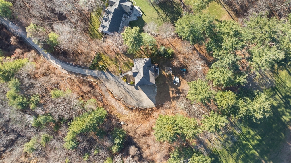 53 Emily Lane Rowley, MA 01969 - Photo 39 of 42 a plant that is in middle of green field