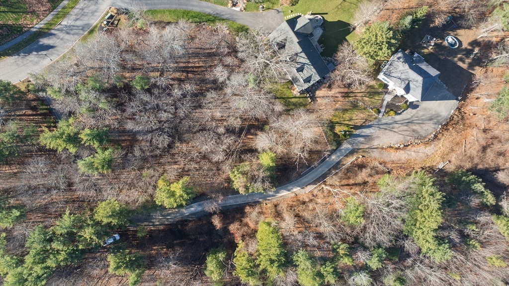 53 Emily Lane Rowley, MA 01969 - Photo 40 of 42 a view of a tree with a yard