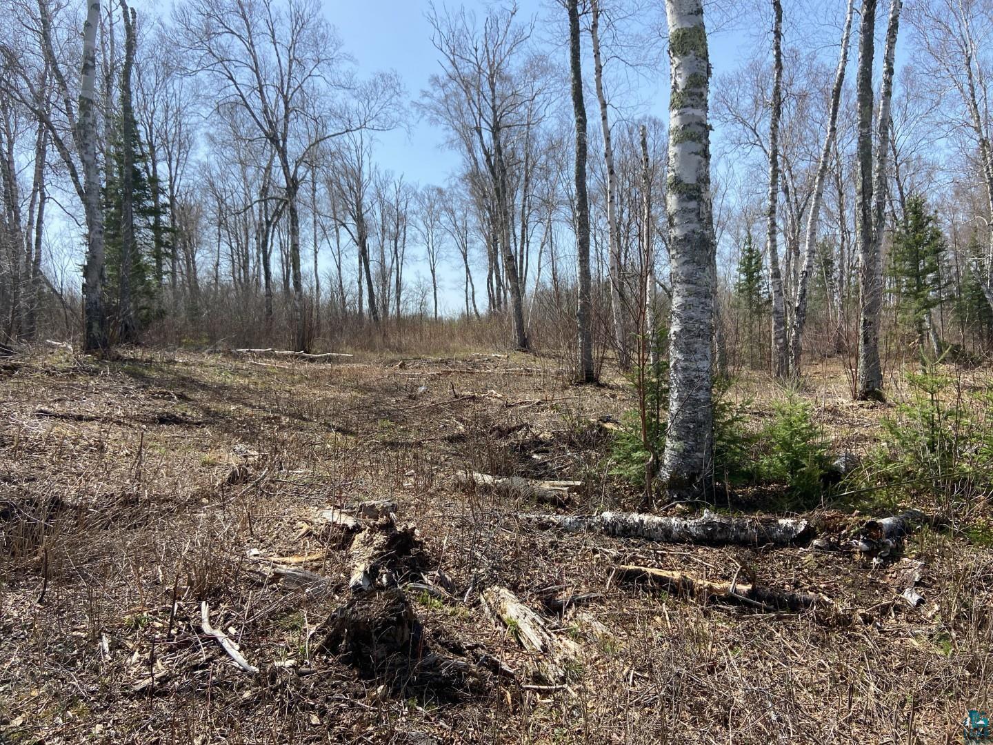 2102-9 Bear Lake Road Duluth, MN 55803 - Photo 7 of 19